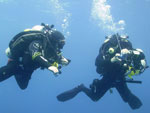 scuba diving in the cenotes, mexico